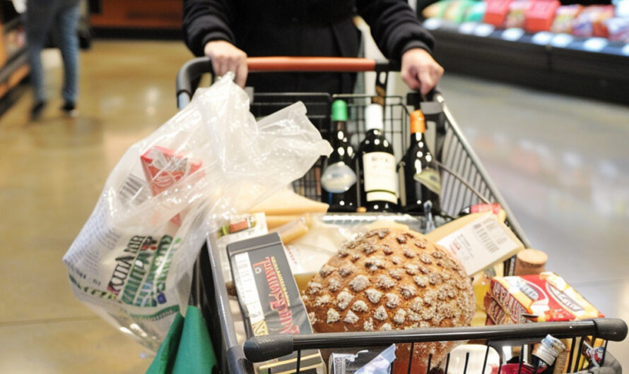 My Sister-in-Law Tricked Me into Paying Her $1,470 Grocery Bill, So I Taught Her an Epic Lesson