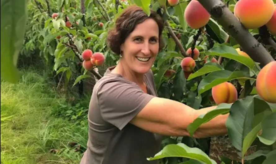 My Neighbor Destroyed the Peach Orchard I Inherited from My Grandparents – So I Made Her Regret It