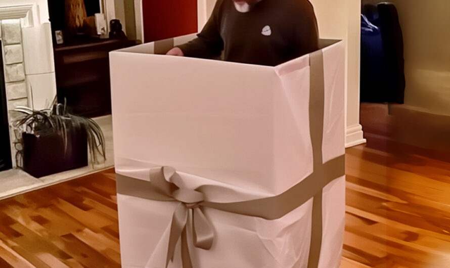 My Husband Surprised Me on My Birthday — When I Saw Who Jumped Out of the Gift Box, I Broke Down in Tears