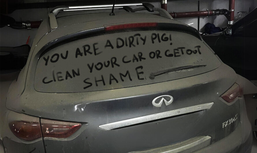 Entitled Neighbor Vandalized My Sick Grandpa’s Car – I Taught Her to Mind Her Own Business