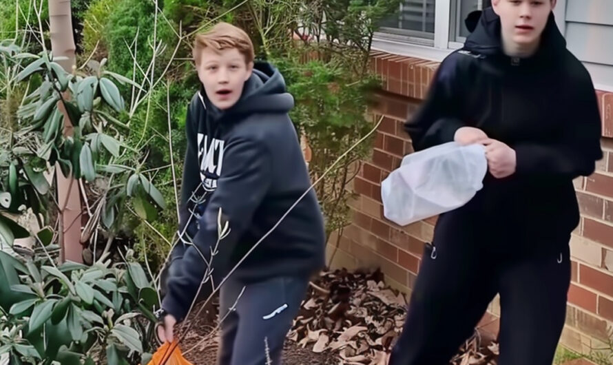 Neighbor’s Kids Were Cleaning Our Street Every Sunday – When I Found Out What They Were Truly Doing, I Was at Loss for Words