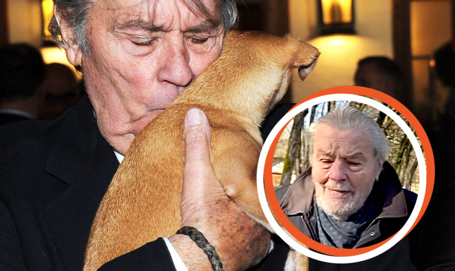 Alain Delon Spent over 50 Years in His Final Home with Dogs – Pics of His Home Life in Last Years Revealed