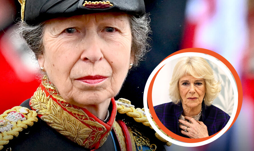 Three Words Princess Anne Said About Camilla Becoming Queen — How Has Their Relationship Evolved?