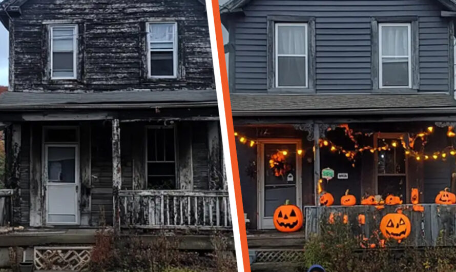 Boy Decorates the House of a Lonely Old Lady for Halloween to Convince Her That the Holiday Is Worth Celebrating – Story of the Day