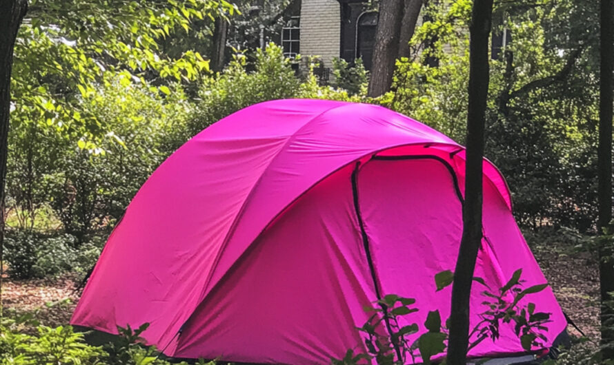 I Returned Home from My Daughter’s Funeral to Find a Tent in My Backyard — I Went Pale at What I Found Inside