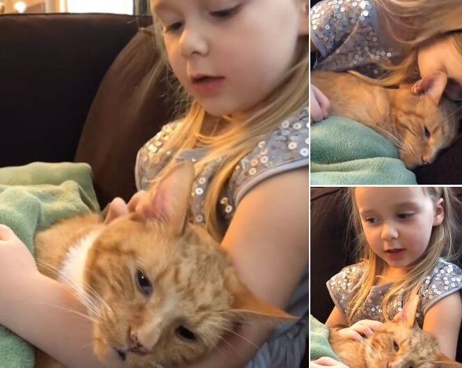 Little girl emotionally sings ‘You Are My Sunshine’ to 𝕕𝕪𝕚𝕟𝕘 cat