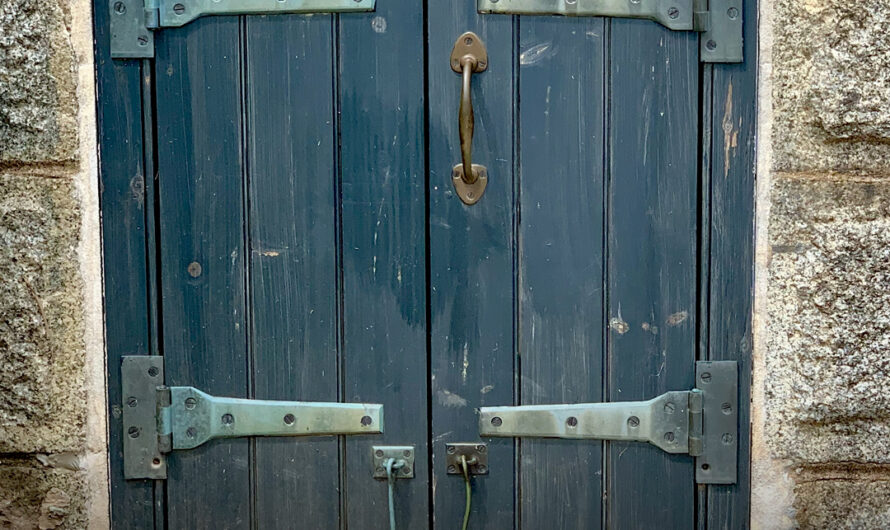 I Found a Hidden Door in My Cellar and I Think I’ve Made a Big Mistake Opening It